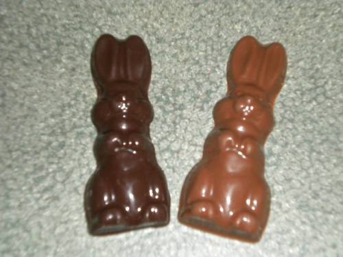 Twins two bunny in a package