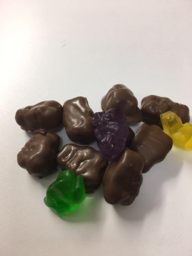 Chocolate covered Gummi Bears