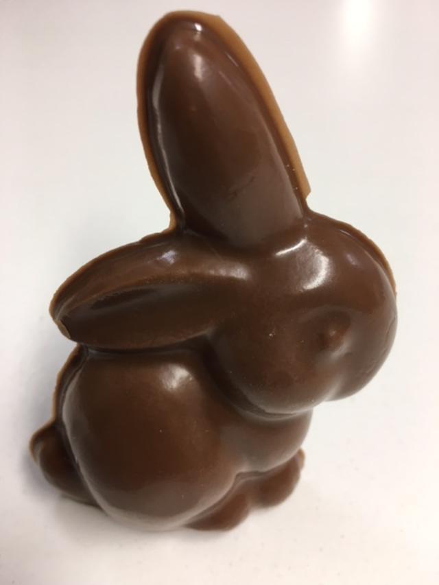 mini hollow Bunny