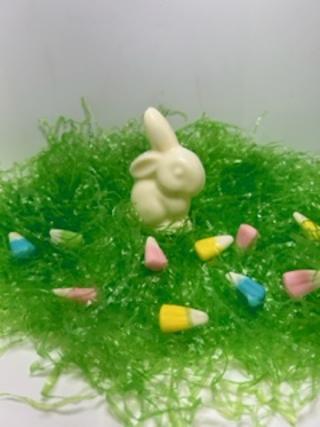 Mini Hollow Bunny