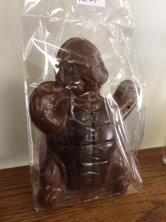 3-D Chocolate Turtle