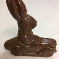 Bunny riding in car