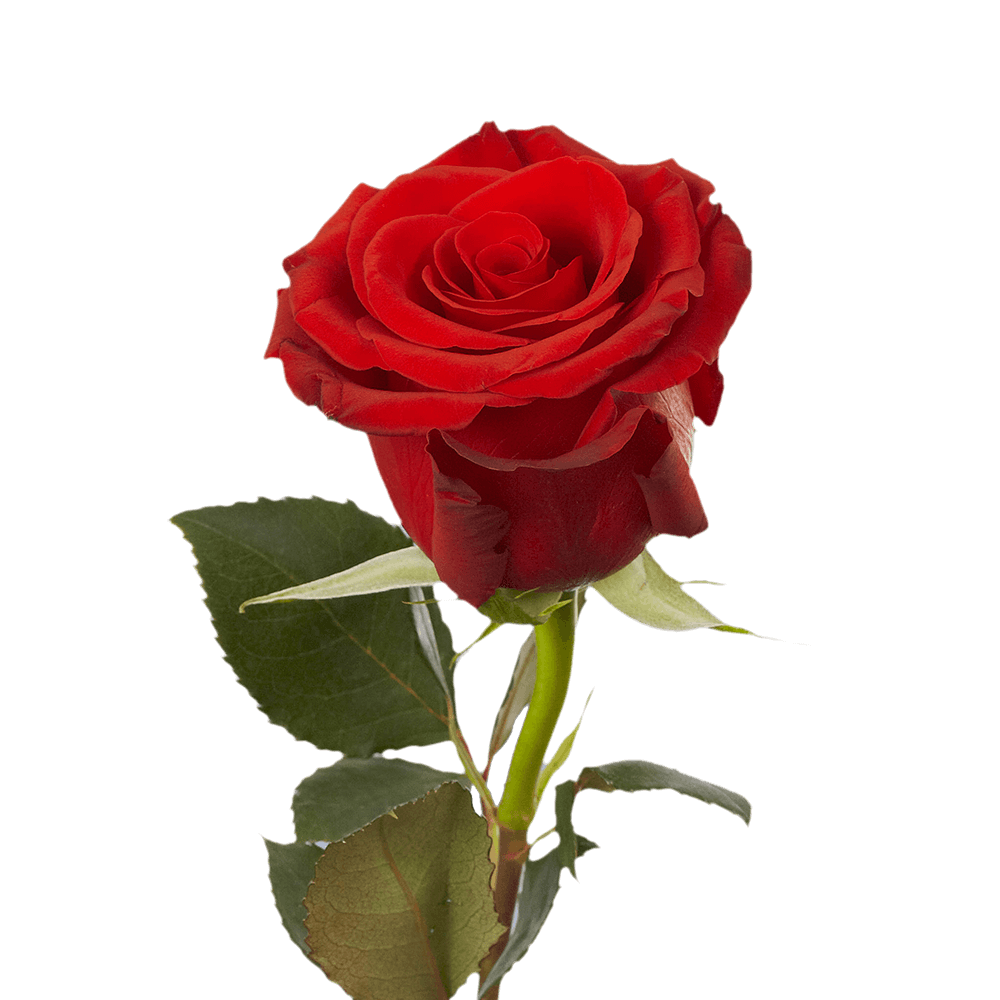 Roses and Strawberries Bouquet
